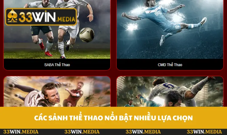 Các sảnh thể thao nổi bật nhiều lựa chọn