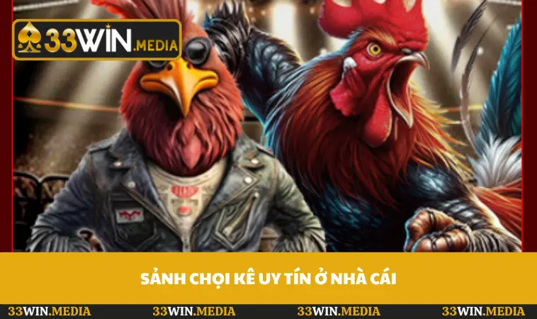 Sảnh chọi kê uy tín ở nhà cái